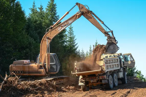 كازينو بيزاز بينغو الدعم